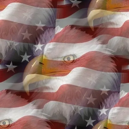 A picture of an american flag with eagle heads.